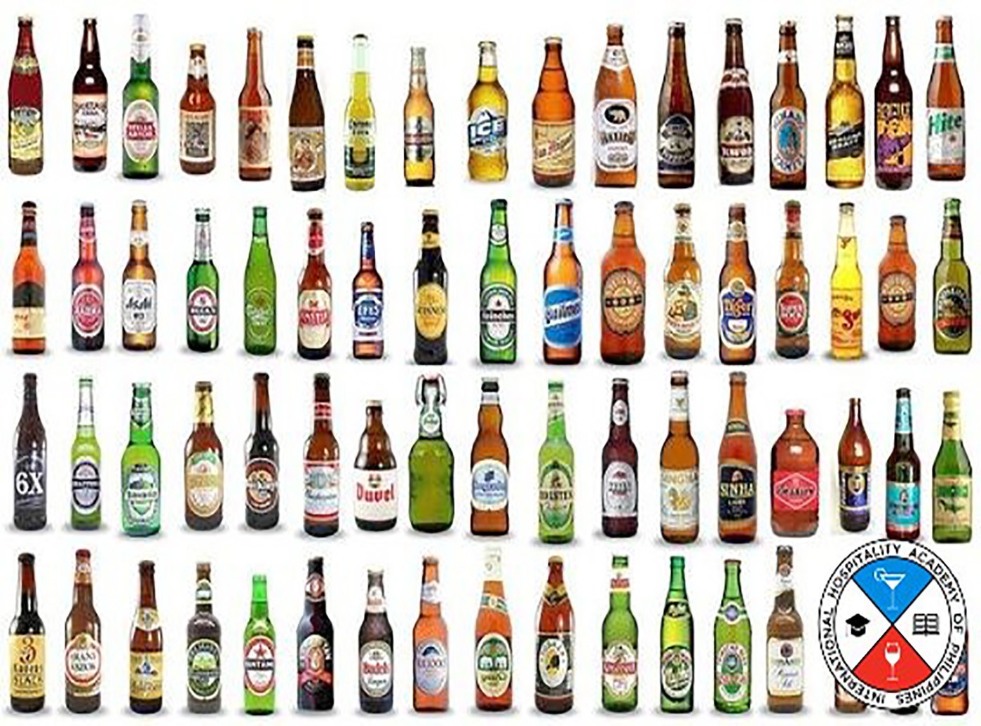 The Most Popular Beers in the World (2022) - Palawan Perfection