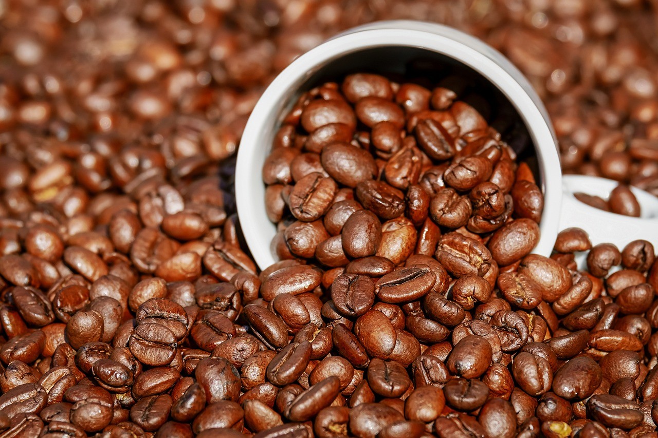 coffee, beans, seed-3392159.jpg